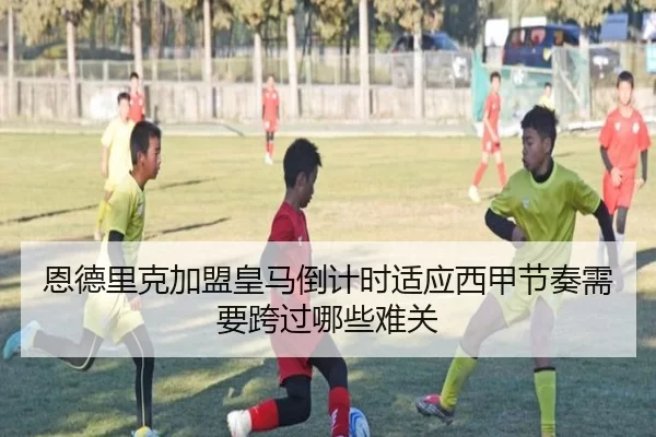 img_1782634980527_19_1_453.jpg