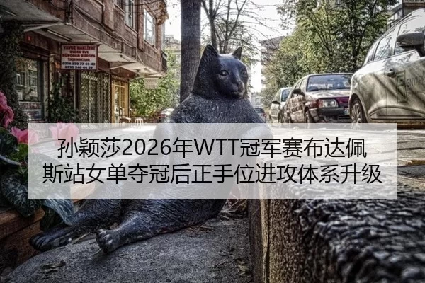 sun-ying-sha-nian-guan-jun-sai-bu-da-pei-si-zhan-nv-dan-duo-guan-hou-zheng-shou-wei-jin-gong-ti-xi-sheng-ji-3-735.jpg